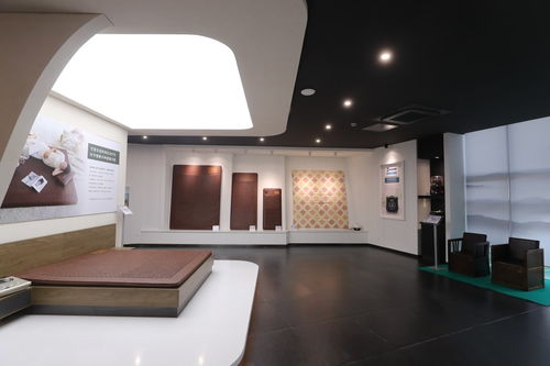 可喜安家庭喜迎新力量，健康咨詢服務為行業(yè)注入新活力